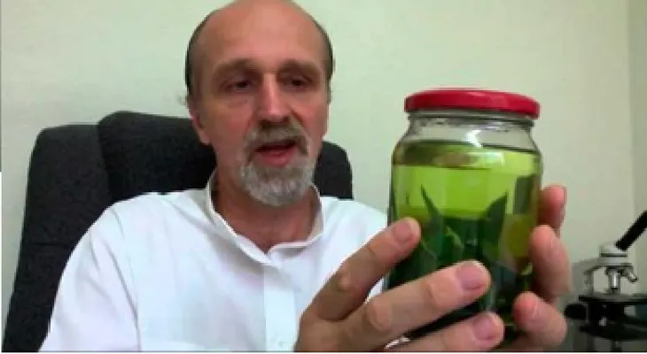 Adiós colesterol, diabetes y triglicéridos con estas simples HOJAS que casi todos botamos!