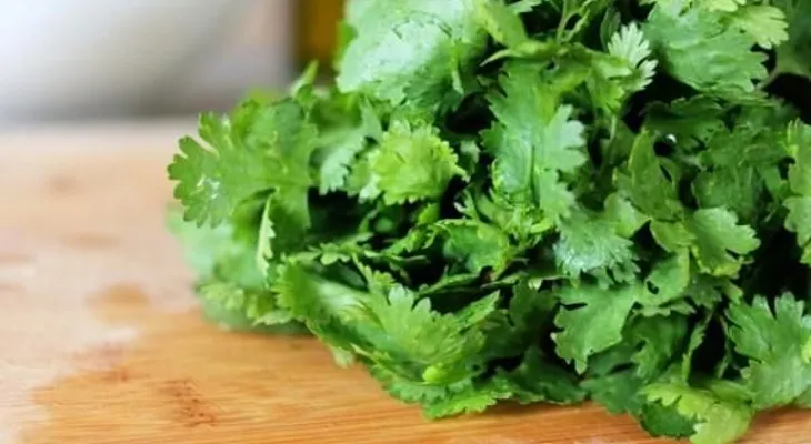8 beneficios que no sabías del cilantro
