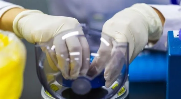 Desarrollan nuevo modelo matemático para ver cómo interactúan los genes