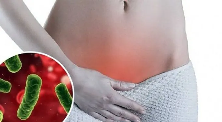 Los hongos vaginales (Candida albicans): elimínelo con estos remedios caseros: 