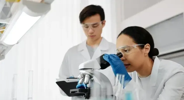 Científicos Brasileños Desarrollan una Pomada Innovadora para Reducir Cicatrices