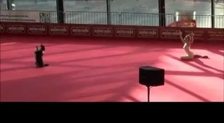 Un baile que le da la vuelta al mundo (VIDEO)