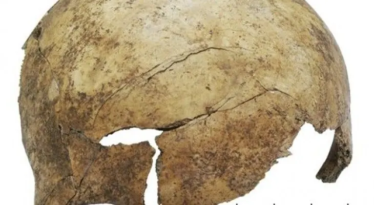 Hallan evidencias de una masacre prehistórica en Europa 