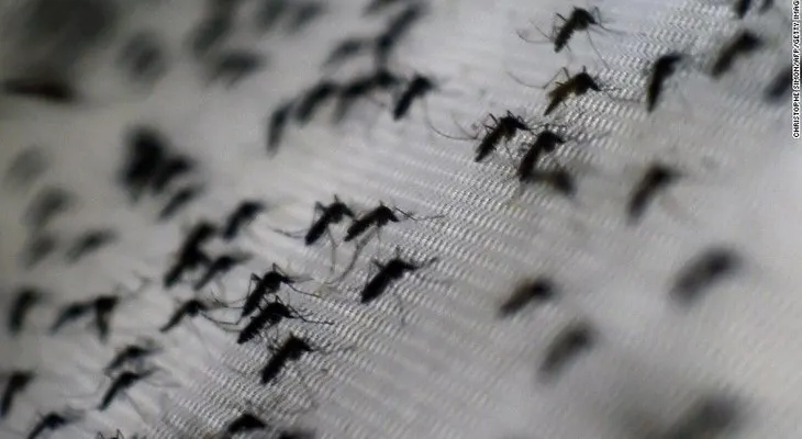 Lo que Brasil le puede enseñar a Estados Unidos sobre el zika