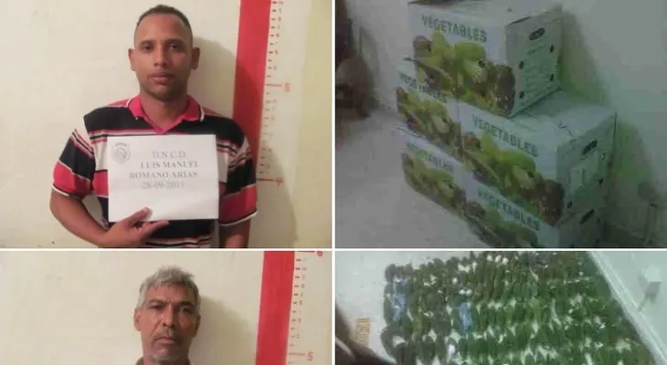 DNCD investiga 25 paquetes coca ocupado en furgón llegó de Venezuela