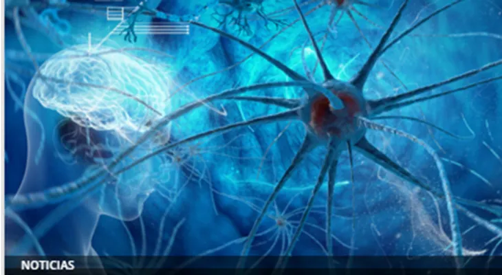 Avance científico hacia la inmortalidad: recuperan el cerebro de un animal tras ser congelado 