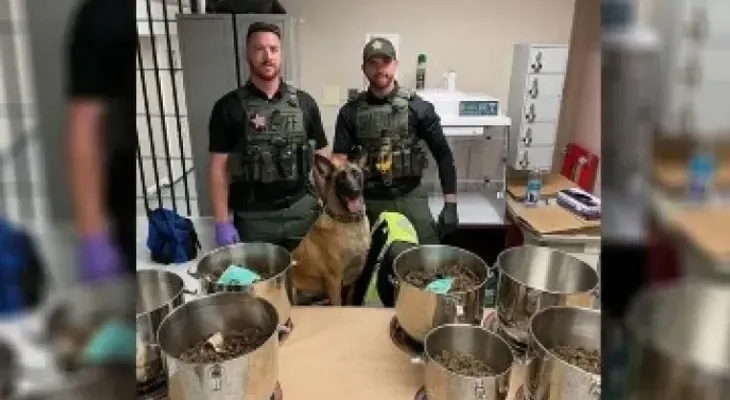 Perra policía descubre casi 4.000 kilos de marihuana en ollas a presión