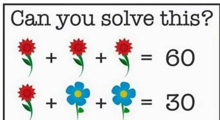 El desafío matemático con flores que vuelve loco a Internet