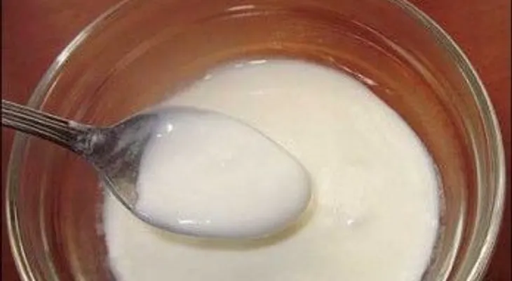 Intimidades del yogurt probiótico y sus beneficios