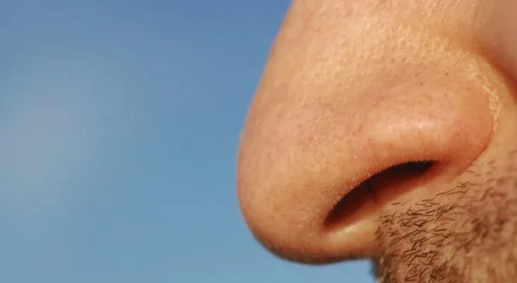 7 cosas que puedes saber gracias a tu nariz