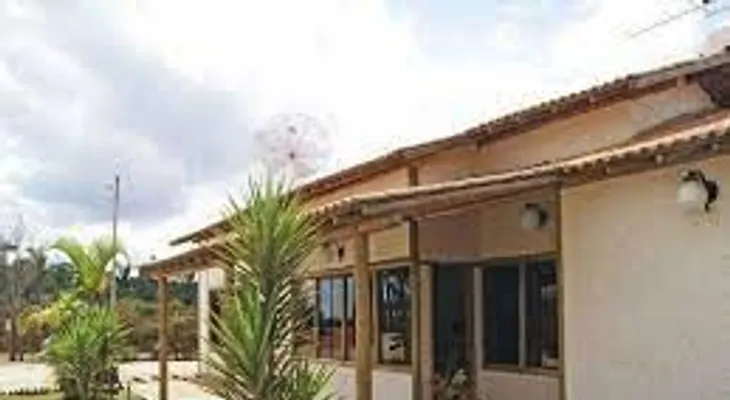 Descubre el secreto: ¡Coloca eucalipto en varios lugares de tu casa para mejorar tu salud!