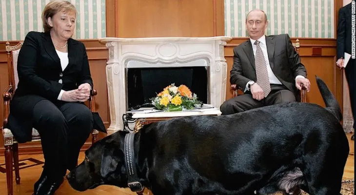 Putin explica incidente de Ángela Merkel con su perro Koni: "No quise asustarla"