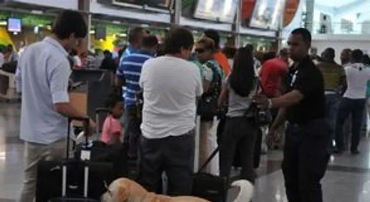 Perro de la Unidad Canina de la DNCD muerde mujer en el AILA