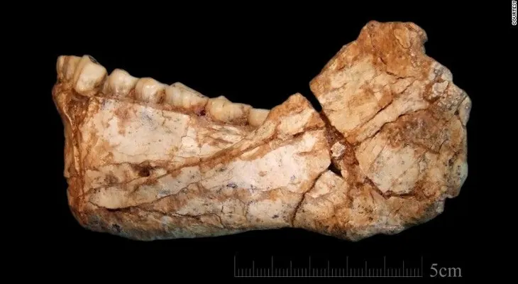 Descubren los fósiles de Homo sapiens más antiguos del mundo