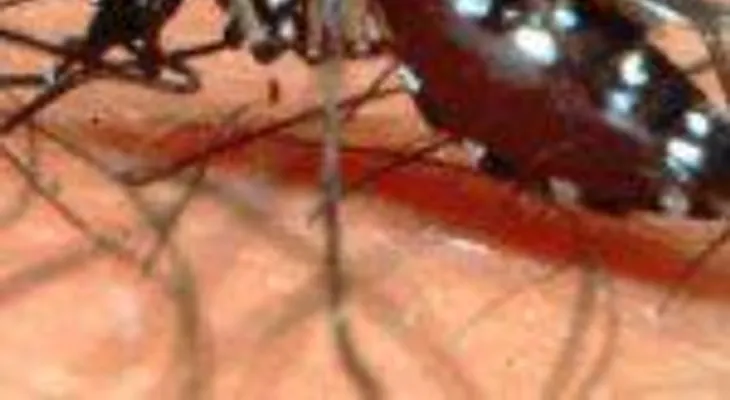 Brasil registra el mayor número de muertes por dengue en su historia este año