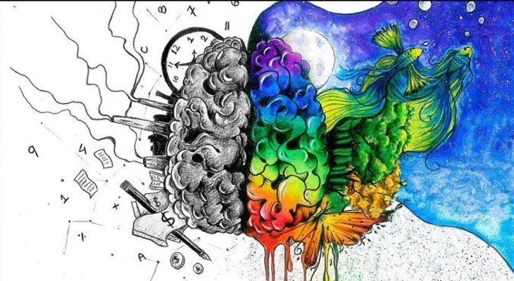 Cerebro izquierdo y derecho: qué hemisferio te domina y cómo equilibrarlos
