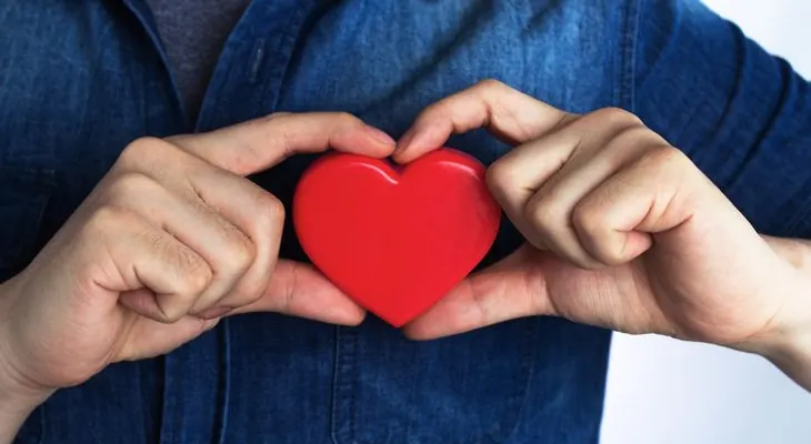 Descubren un sistema para mantener el corazón sano