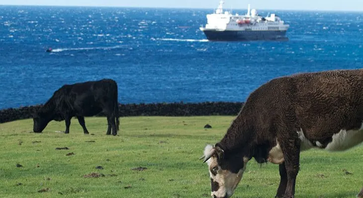 La isla más remota del mundo busca profesores
