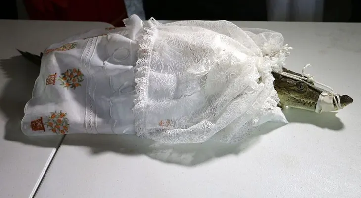 Alcalde mexicano se "casa" con un cocodrilo siguiendo una centenaria tradición