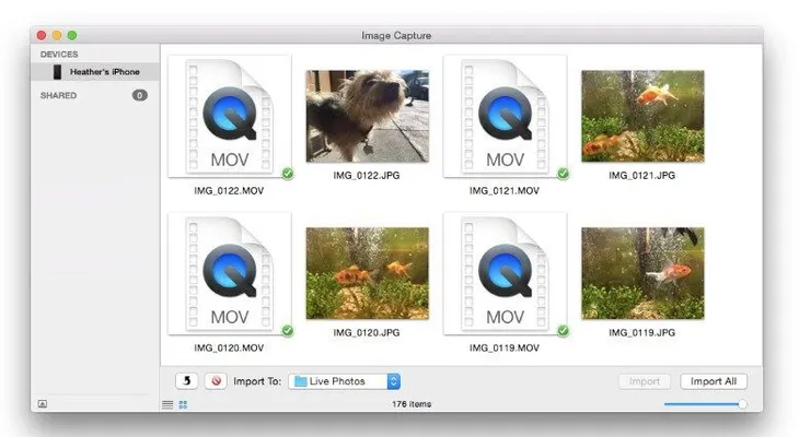 Cómo convertir las Live Photos del iPhone 6S en GIFs