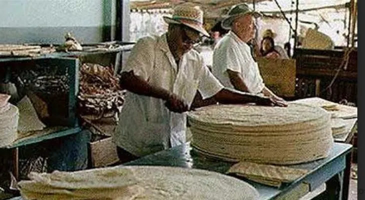 Productores de casabe piden levantar prohibición trasiego de madera