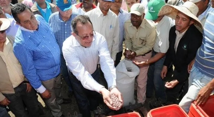 Inician siembra masiva de habichuelas en San Juan de la Maguana