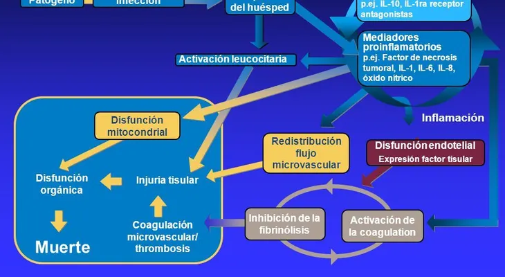 La sepsis, una infección de la sangre que puede ser mortal; es la causa más frecuente de muerte en el MUNDO
