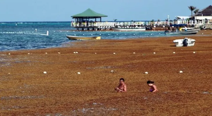 170 millones de personas enferman al año por bañarse en mares contaminados