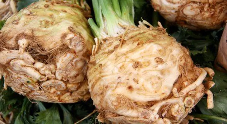 Remedio natural con raíz de apio para controlar la diabetes