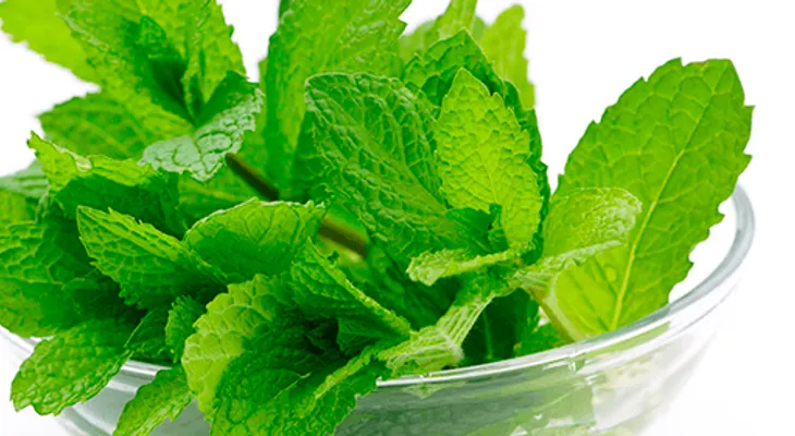 Expectorante casero de menta