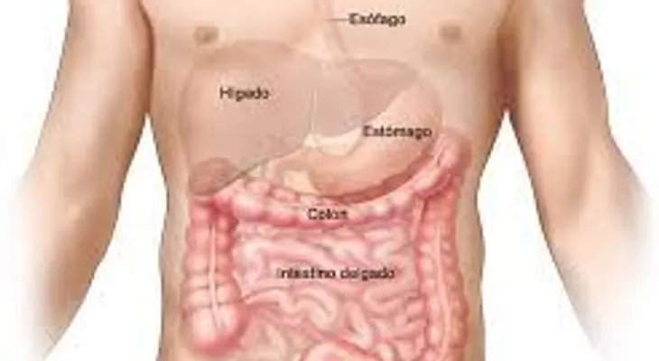Cáncer de colon: qué es; causas y tratamientos (VIDEO)