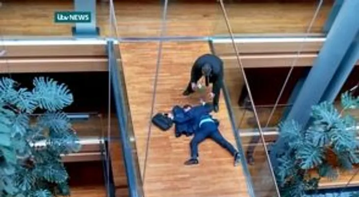 Dos diputados británico se van a los puños; ingresan uno de ellos 