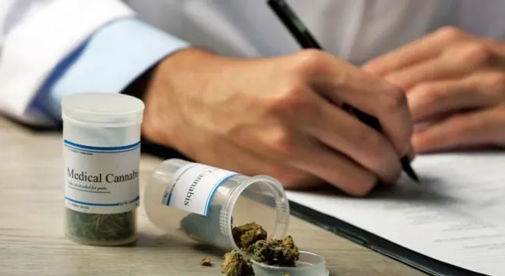 Neuroprotector cannábico ayudará a curar lesiones de médula ósea y craneal