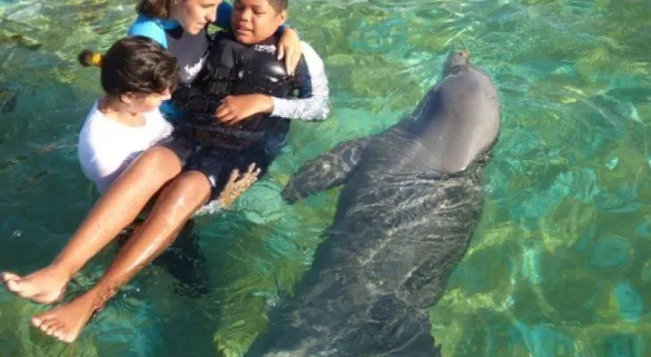 Conoce el sanador nado con delfines en Venezuela