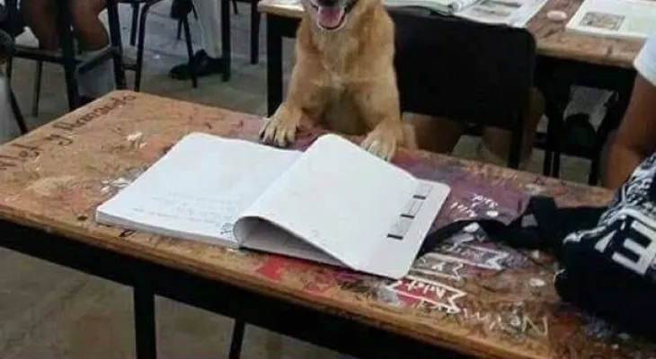 Esta maestra buscó una inausal manera para que sus alumnos sean más atentos
