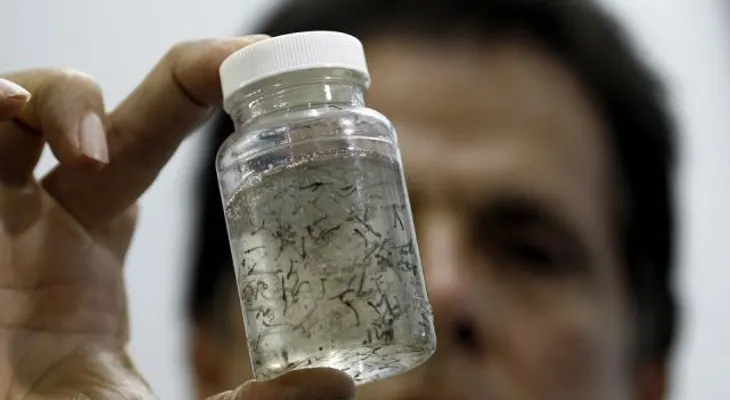 Angustia rodea a "niños del Zika" un año después del brote de microcefalia en Brasil