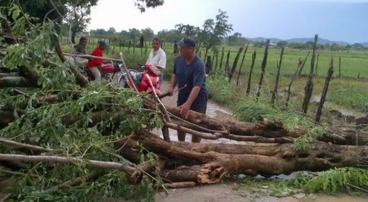 Tornado derriba árboles y deja sin luz comunidad de Barahona 