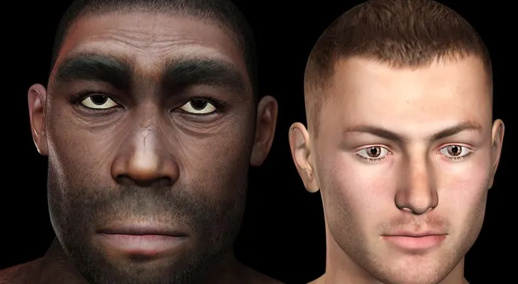 La historia de la cara humana