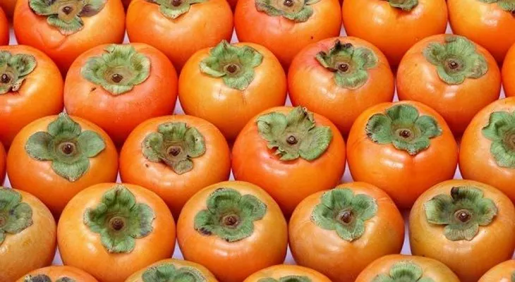 10 alimentos líderes para logar una digestión perfecta 