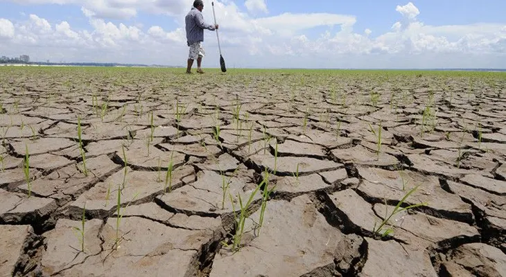 Identifican puntos de inflexiónpor cambio climático capaces de pronosticar desastres naturales