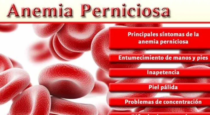 Anemia perniciosa se transmite de padres a hijos; causas más comunes