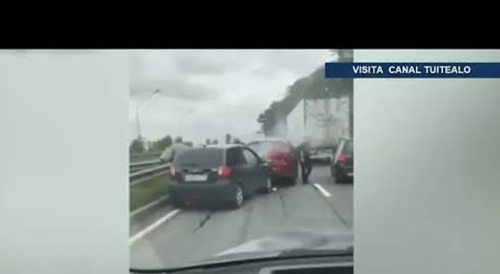 Una familia de patos provoca un accidente en una carretera rusa