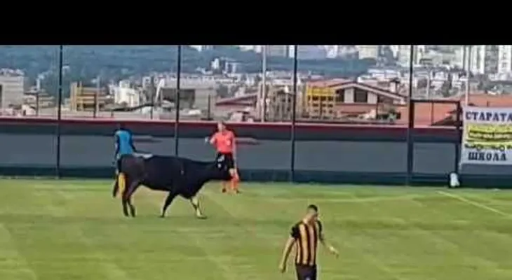 Un toro se cuela en medio de un partido de fútbol