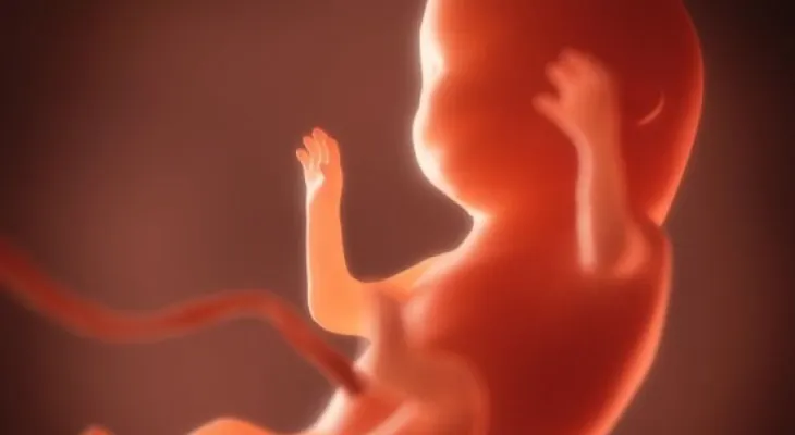 El bebé sueña, rie, llora y hace otras cosas increíbles dentro del útero de su mamá