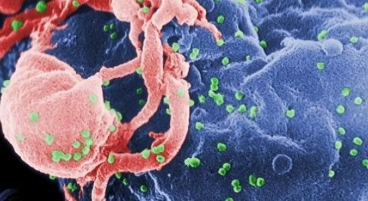 Las tijeras celulares que evitan lnfección por el virus del sida