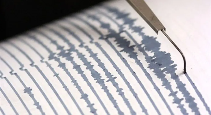 Se registra un sismo de magnitud 4,8 en Georgia