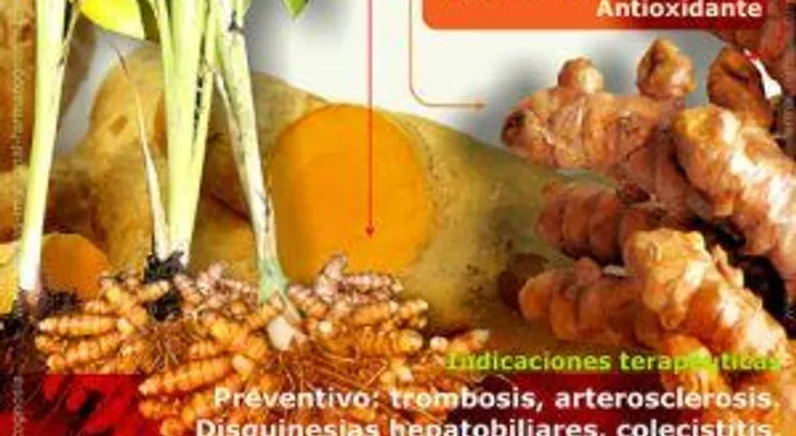 Variedad de remedios con curcuma  (Video) 