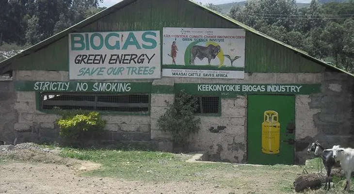 Sangre de los mataderos para producir energía limpia     