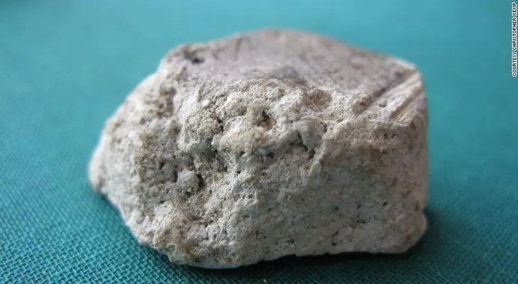 Pareja que encontró una extraña y apestosa roca podría recibir 70.000 dólares por su hallazgo