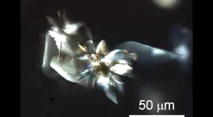 Japón da un paso más hacia robots moleculares propulsados por la luz (VIDEO)